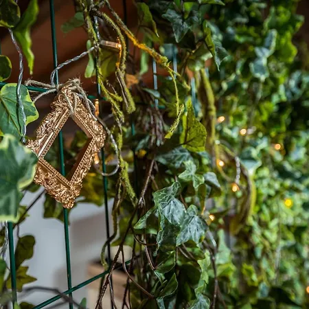 Appartement Via Lamberti, 3 - Charming - Charming And Historic 5th-floor Attic With Elevator In A Building At The Heart Of Vibrant Florence, Just A 2-minute Walk From Attractions Florence