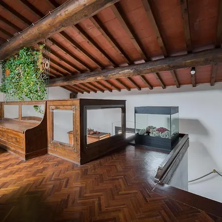 Apartment Charming Apartments: Historic Attic In Center